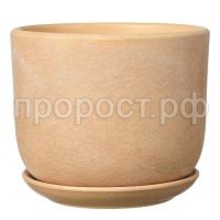 Замша бежевый бук (2) Замша бежевый бук (2)