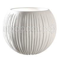 Сфера-белый