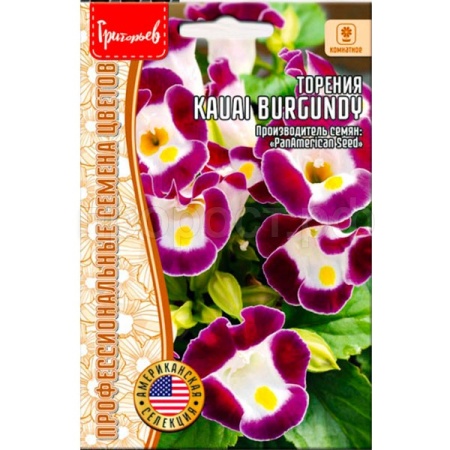 Редкие растения Торения Kauai Burgundy 3 др.