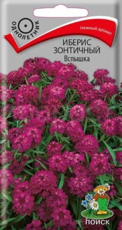 Поиск Иберис зонтичный Вспышка 0,3г