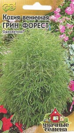 Гавриш Уд семена Кохия Грин Форест 0,3г веничная