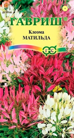 Гавриш Клеома Матильда колючая 0,2г