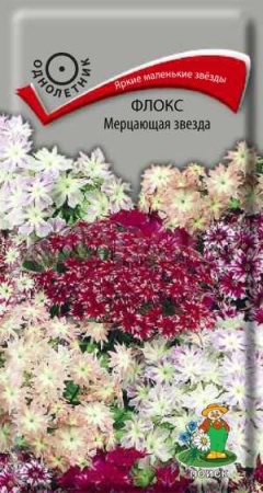 Поиск Флокс друммонда Мерцающая звезда 0,2г