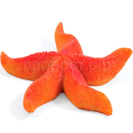 Звезда морская Laguna 2921LD Астерина мини 64*64*15мм