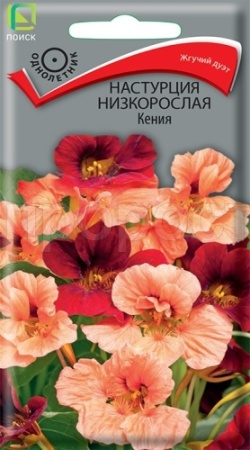 Поиск Настурция низкорослая Кения 1гр