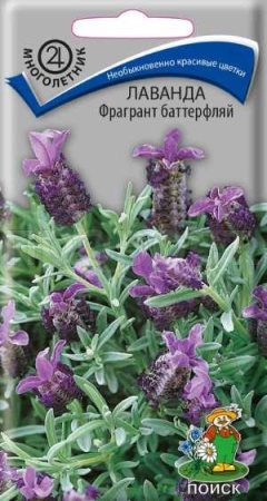 Поиск Лаванда Фрагрант баттерфляй 20шт