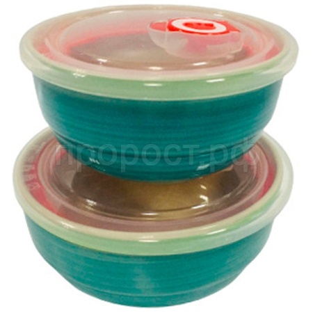 Набор салатников (2шт) с крышками Весенняя капель 139-23092 /24шт/PSF