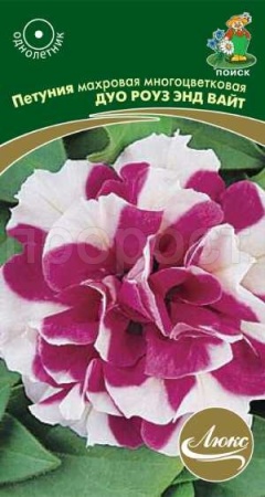 Поиск Петуния махровая многоцветковая Дуо роуз энд вайт 10шт