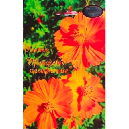 Каприс Космея Оранжевое настроение 20*0,5