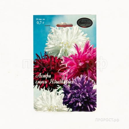 Каприс Астра смесь Страусово перо Павлиний хвост 20*1,5