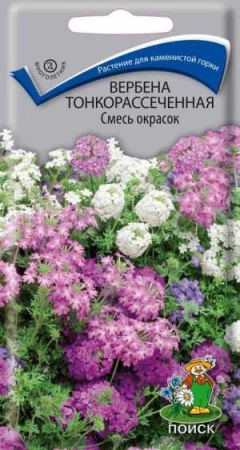 Поиск Вербена тонкорассеченная Смесь окрасок 0,02гр