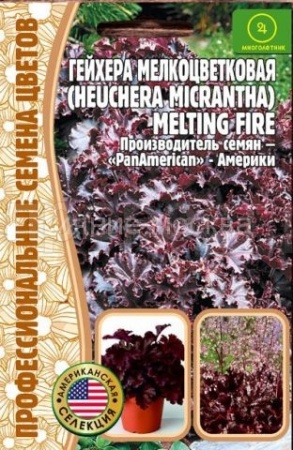 Гейхера Melting Fire мелкоцветков.Pan America 5др.