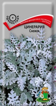 Поиск Цинерария Снежок 0,1г