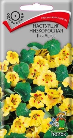 Поиск Настурция Пич Мелба 1гр