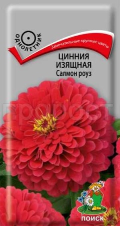 Поиск Цинния изящная Салмон Роуз 0,4г