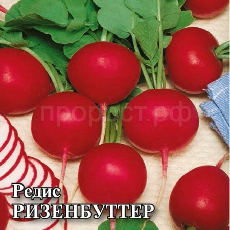 Редис Ризенбуттер 25,0 г