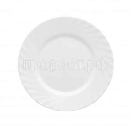 Тарелка обеденная "ТРИАНОН" 24.5см N3645/H3665/24шт/LUMINARC