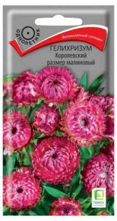 Поиск Гелихризум Королевский размер малиновый 0,1г