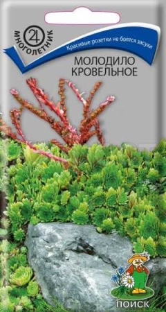 Поиск Молодило кровельное 0,01г