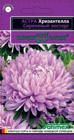 Гавриш Астра Хризантелла Сиреневый восторг 0,05 г 