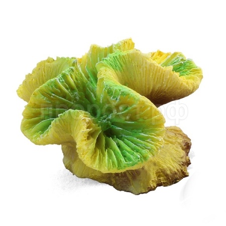 Грот Коралл искуств.Каталофиллия зеленая 70*65*40мм/74004105/Триол