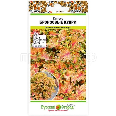 НК Комн. Колеус Бронзовые кудри 10шт 