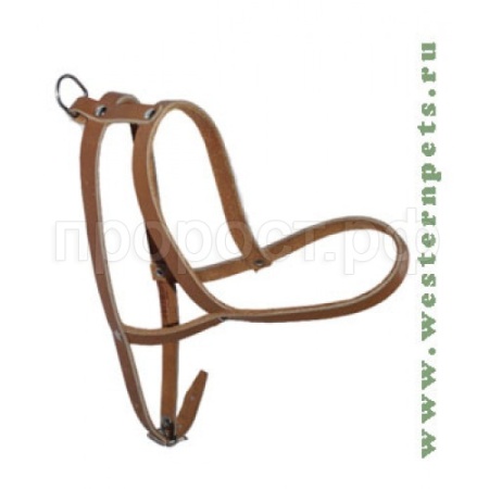 Шлейка кожа Средняя 50-58см/401/Вестерн