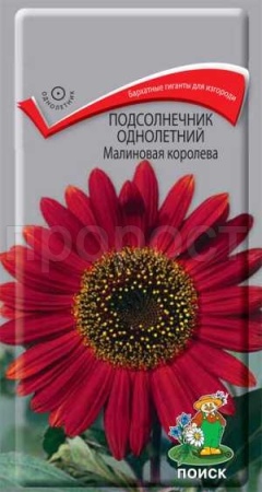 Поиск Подсолнечник Малиновая королева  0,5г