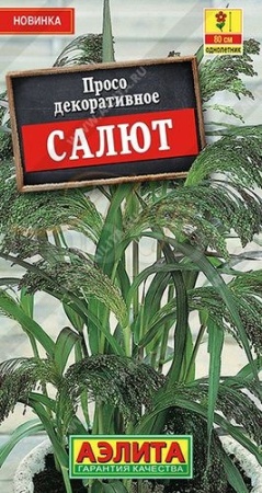 Аэлита Просо декоративное Салют 0,5г
