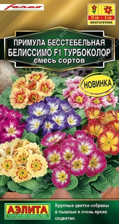 Аэлита Примула Белиссимо F1, турбоколор смесь окрасок 5шт 