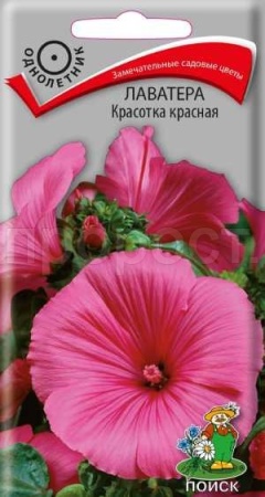 Поиск Лаватера Красотка красная 0,3г