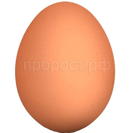 Инструмент Яйцо куриное резиновое муляж 