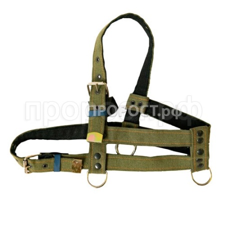 Шлейка брезент 35мм на подкладе /30433/Биосфера