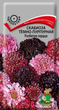 Поиск Скабиоза тёмно-пурпурная Разбитое сердце 10шт
