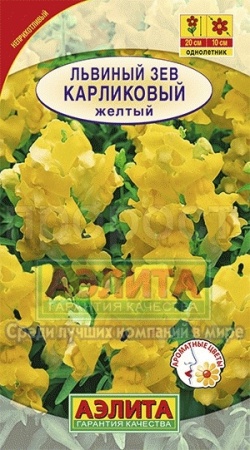 Аэлита Львиный зев карликовый желтый 10шт
