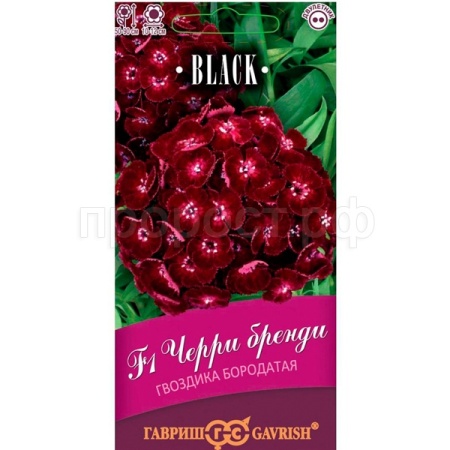 Гавриш Гвоздика турецкая Черри бренди F1 4шт серия Блэк 
