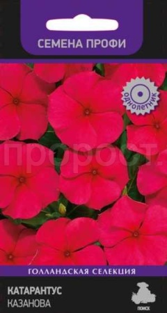 Поиск Катарантус Казанова 10шт