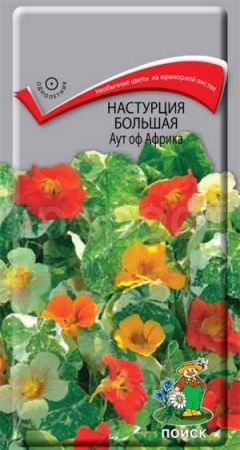 Поиск Настурция Аут оф Африка большая 1гр