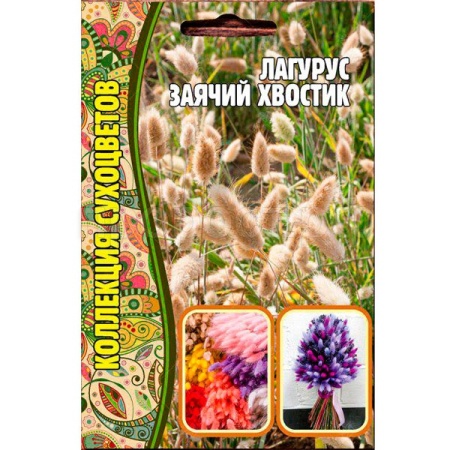 Редкие растения Лагурус Заячий хвостик 100 шт