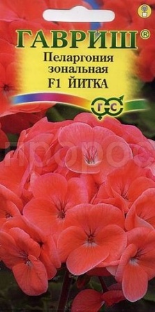 Гавриш Пеларгония Йитка зональная 4 шт