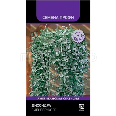 Поиск Дихондра Сильвер Фолс 5шт 