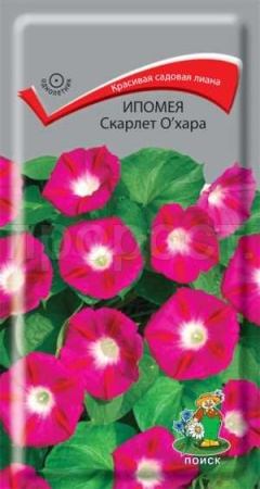 Поиск Ипомея Скарлет О*Хара 0,9гр 