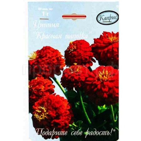 Каприс Цинния Красная шапочка 20*1