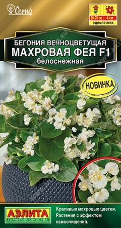 Аэлита Бегония вечноцветущая махровая Фея белоснежная F1 5шт 