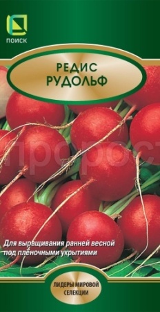 Редис Рудольф 2г 
