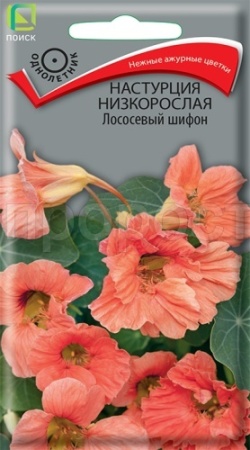 Поиск Настурция низкорослая Лососевый шифон 1гр 