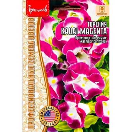 Редкие растения Торения Kauai Magenta 3 др.
