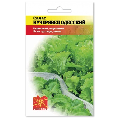 PROROST Салат Кучерявец Одесский 1г