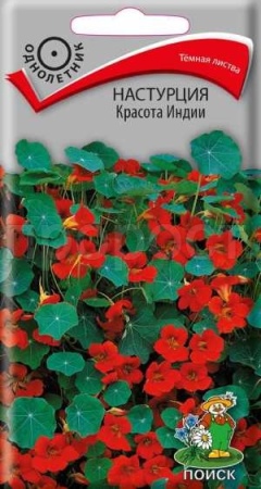 Поиск Настурция Красота Индии 1гр