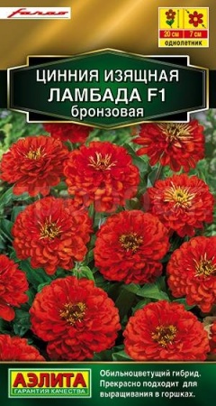 Аэлита Цинния Ламбада F1 бронзовая 12шт